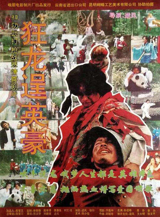 《狂龙逞英豪》电影封面