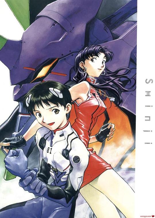 《新世纪福音战士 第0:0话 诞生之始》动画封面