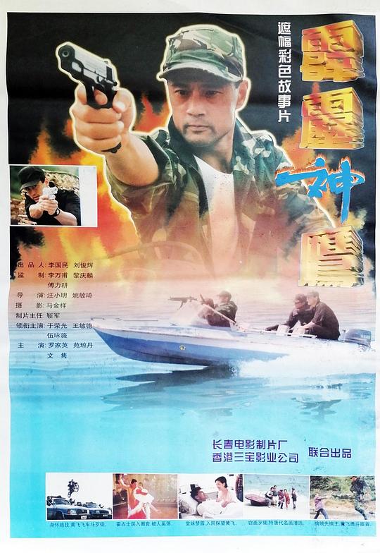 《霹雳神鹰》电影封面