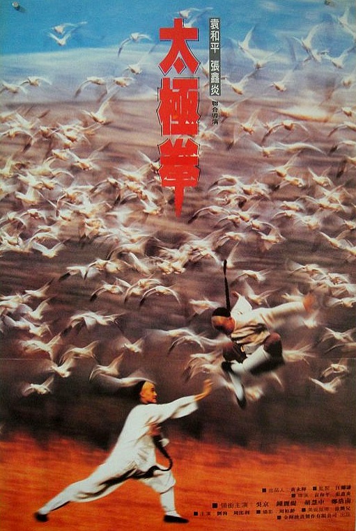 《功夫小子闯情关》电影封面