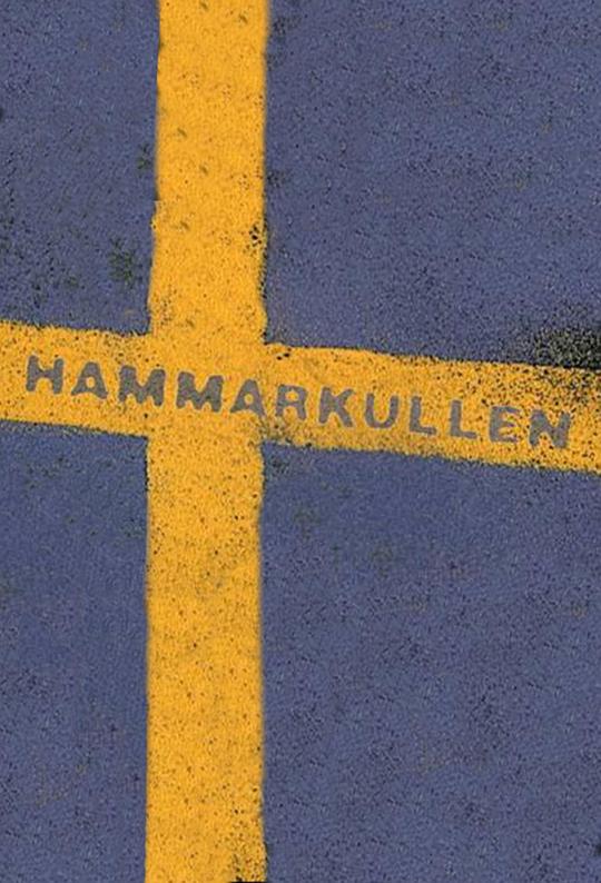 《Hammarkullen》电影封面