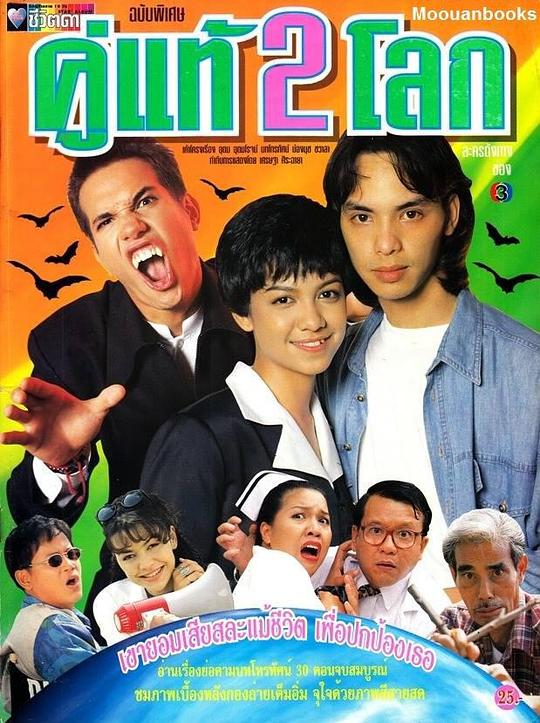 《两个世界的灵魂伴侣》电影封面