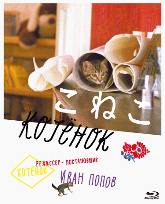 《小猫虎子》电影封面