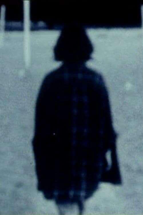 《寂静的回响》电影封面