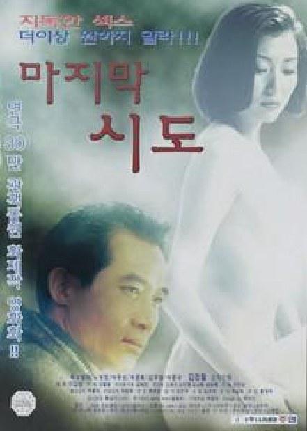 《마지막 시도》电影封面