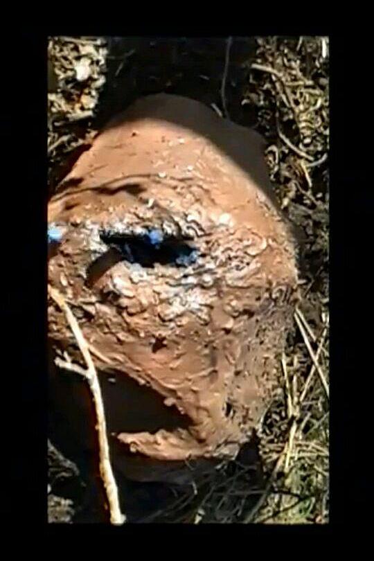 《Angriff der sehr gefährlichen ekligen schwarzen Würmer aus einer fernen Galaxie, die niemand kennt》电影封面