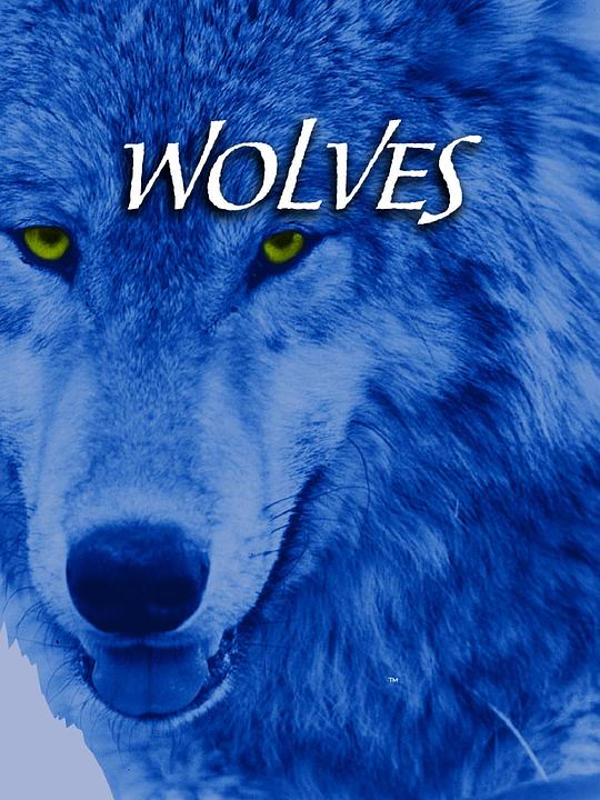 《狼》纪录片封面