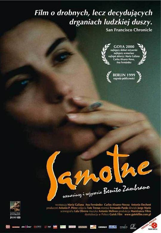 《天涯寻梦》电影封面