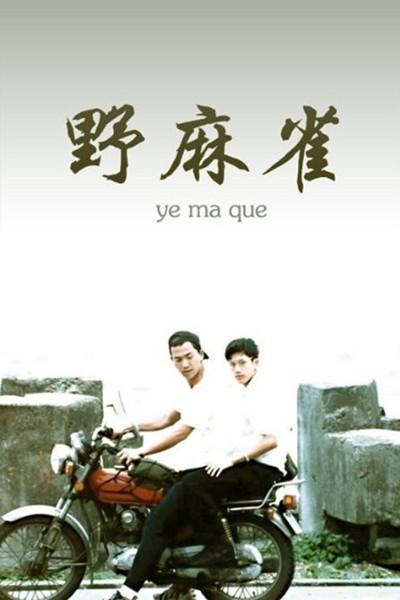 《野麻雀》电影封面