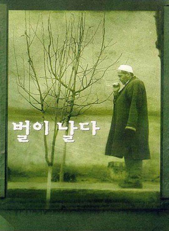 《蜜蜂飞了》电影封面