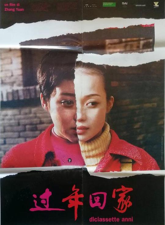 《过年回家》电影封面