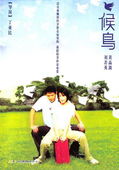 《候鸟》电影封面