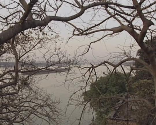 《夜精灵的故事》纪录片封面