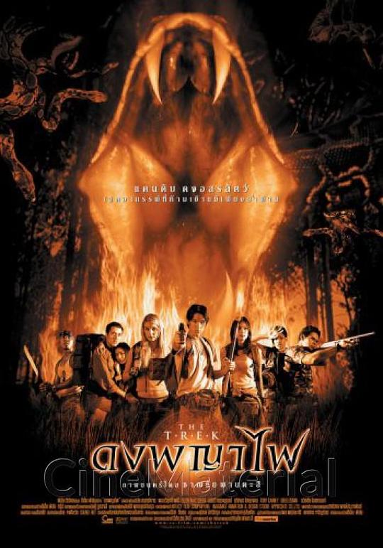 《夺命森林》电影封面