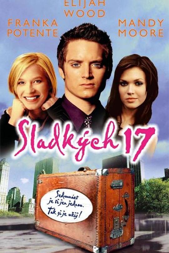 《十七岁初体验》电影封面