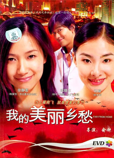 《我的美丽乡愁》电影封面