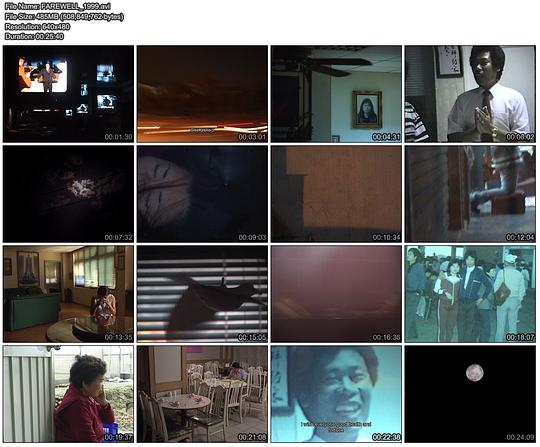 《再会吧1999》纪录片封面