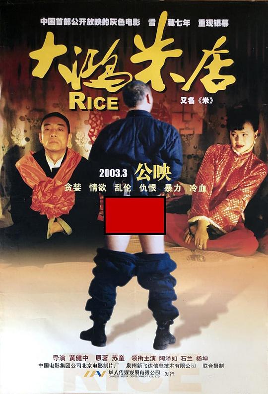 《大鸿米店》电影封面
