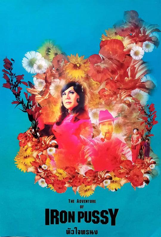 《铁鸡谍网种情花》歌舞剧封面