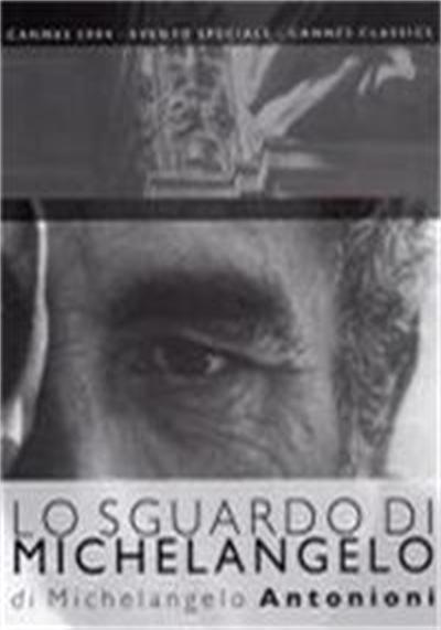 《米开朗基罗的凝视》纪录片封面