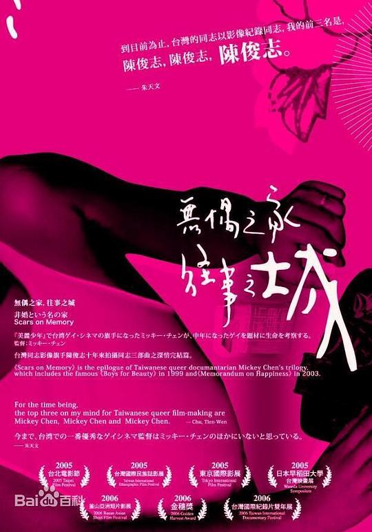 《无偶之家，往事之城》纪录片封面