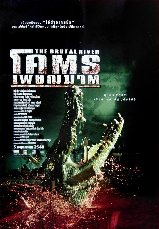 《无情河畔》电影封面