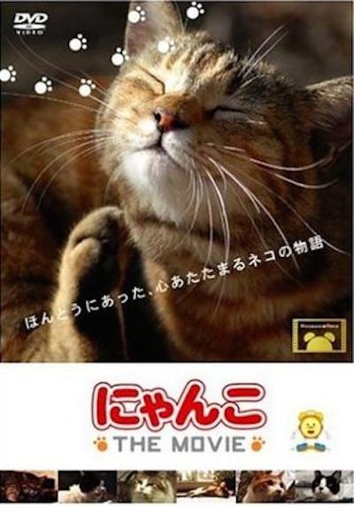 《猫咪物语》纪录片封面