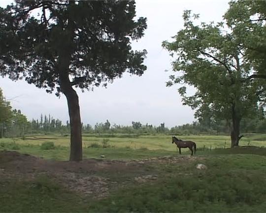 《我们如何欢庆自由》纪录片封面