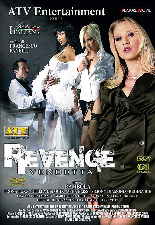 《复仇》电影封面