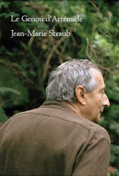 《阿蒂米德的膝盖》电影封面