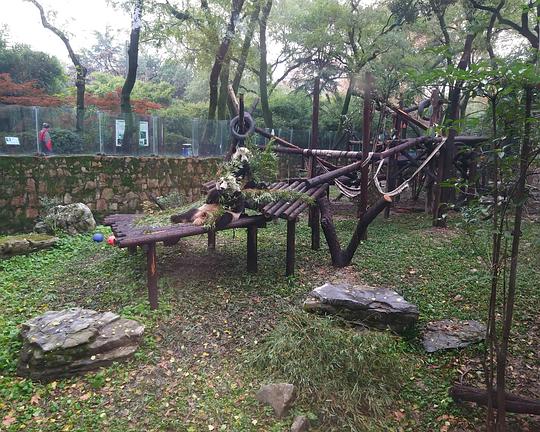 《卧龙天府 熊猫传奇》电影封面