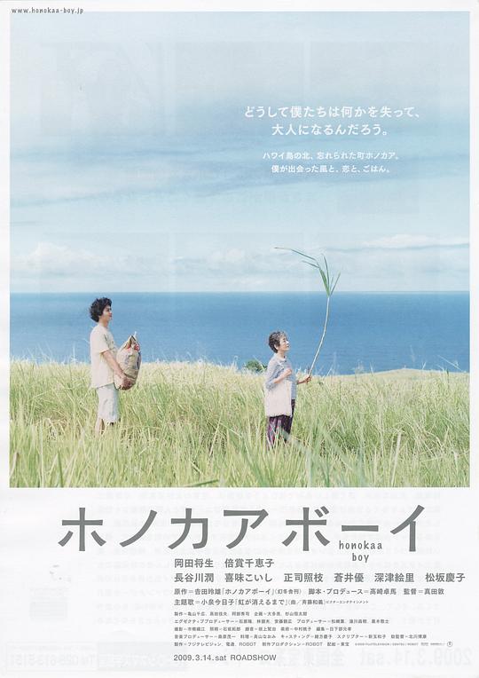 《夏威夷男孩》电影封面