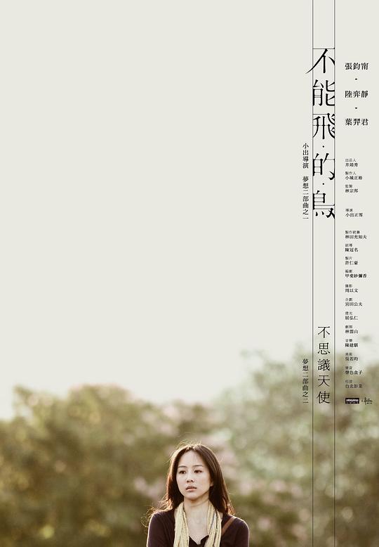 《不能飞的鸟》电影封面