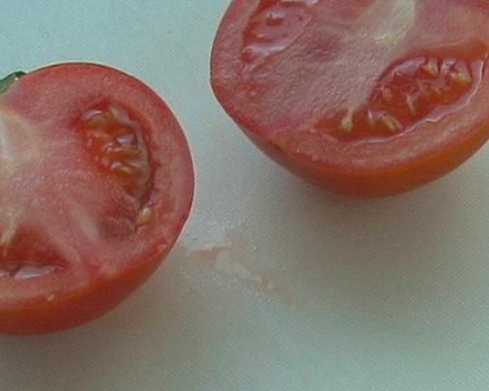 《血日記》电影封面