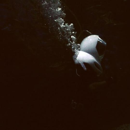 《帝国》电影封面