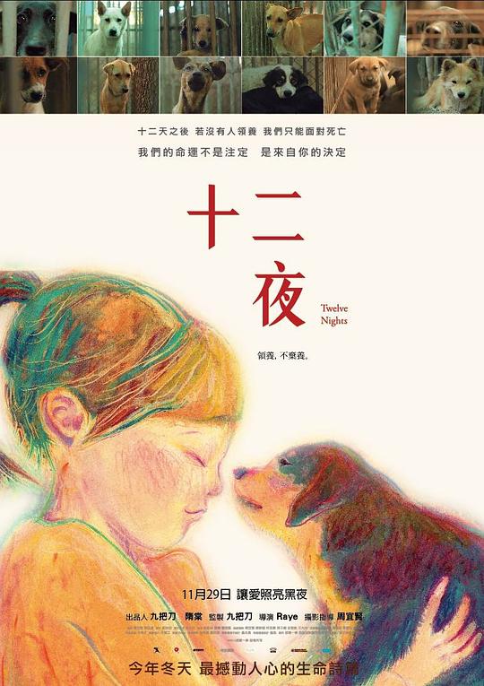 《十二夜》纪录片封面