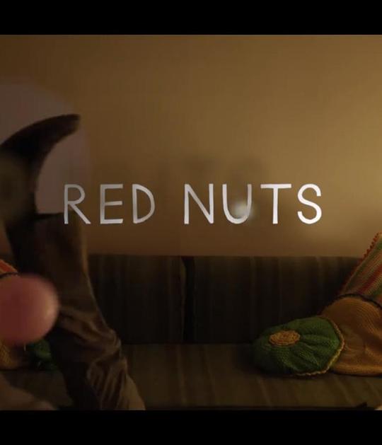 《假如生命只剩两周》电影封面