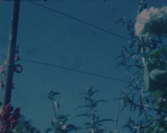 《라짐파트》纪录片封面