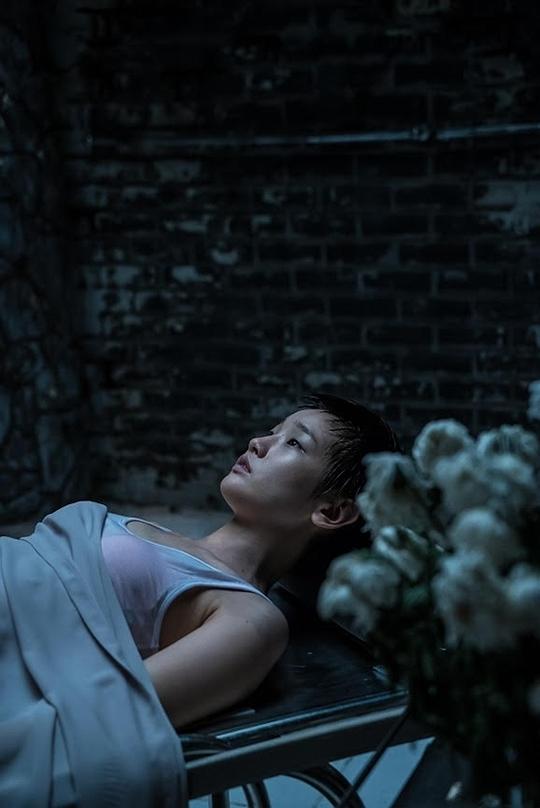 《亚洲色彩之大师短片合作系列》电影封面