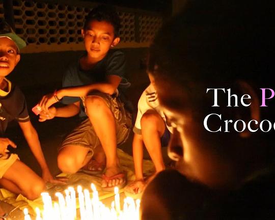 《粉紅鱷魚》纪录片封面