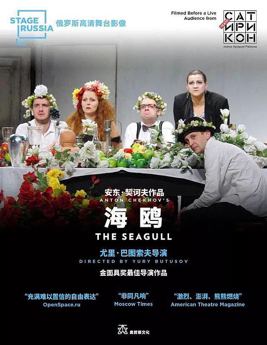 《海鸥》电影封面