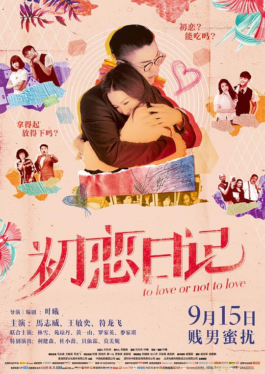 《初恋日记》电影封面