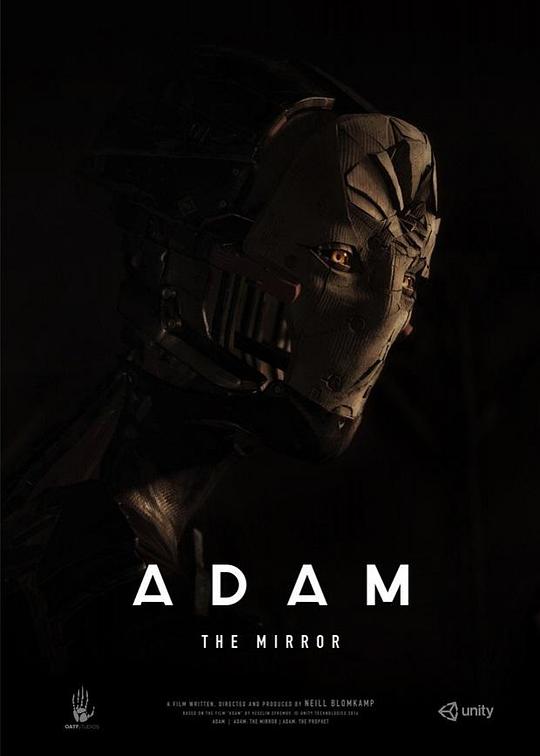 《亚当：镜子》电影封面