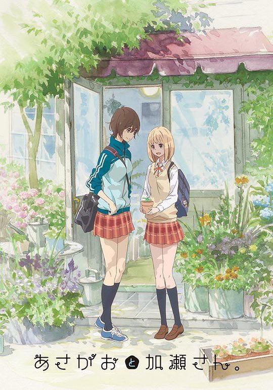 《牵牛花与加濑同学。》动画封面