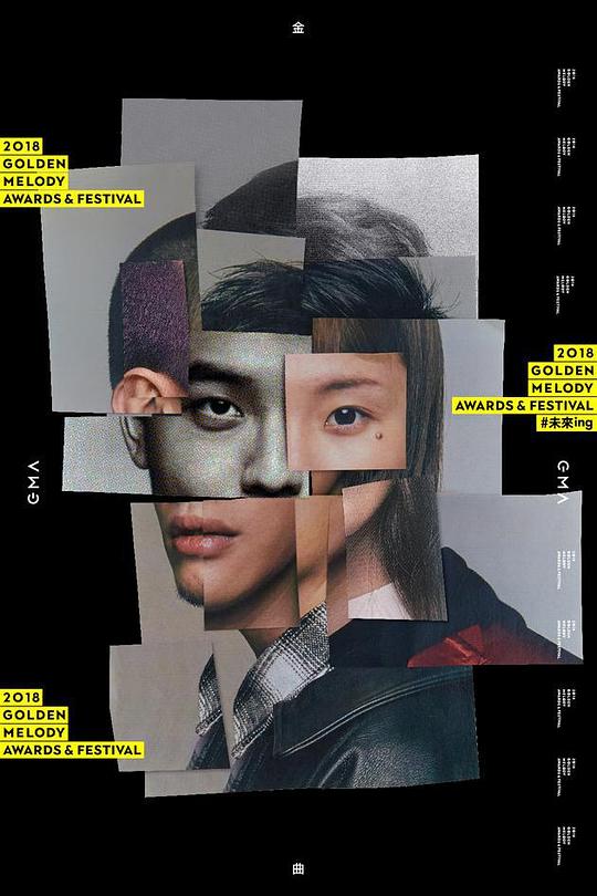 《第29届台湾金曲奖颁奖典礼》活动封面