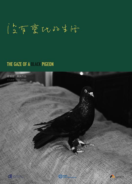 《没有变化的生活》电影封面