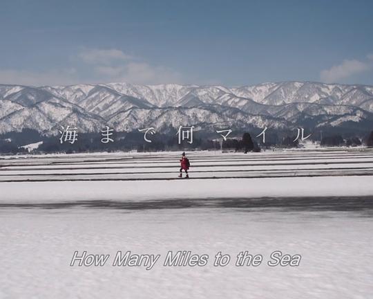 《海まで何マイル》电影封面