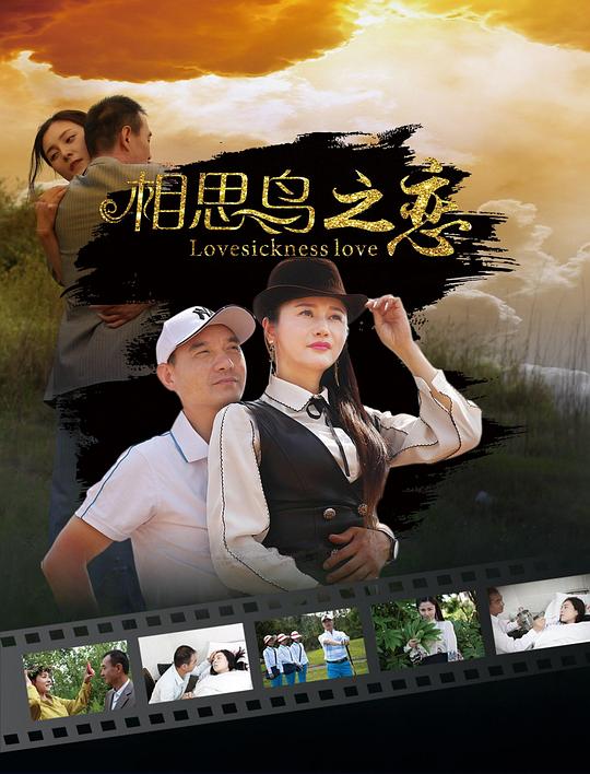 《相思鸟之恋》电影封面