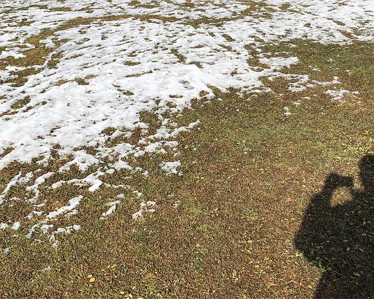 《无言日记2018》纪录片封面