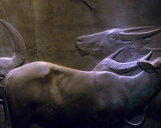 《光》纪录片封面